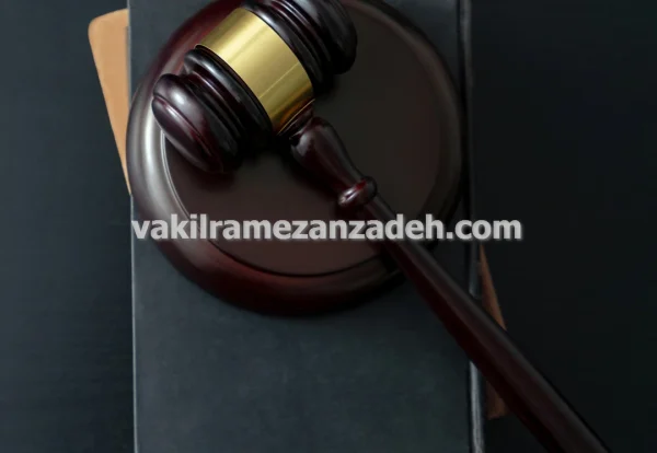 وکیل ملکی حل اختلافات مالکیت زمین و ساختمان در تهران وکیل ملکی حل اختلافات مالکیت زمین و ساختمان در تهران